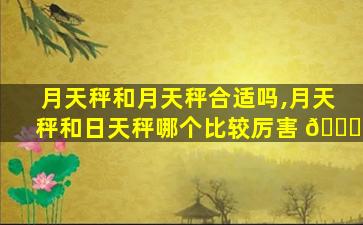 月天秤和月天秤合适吗,月天秤和日天秤哪个比较厉害 🐒